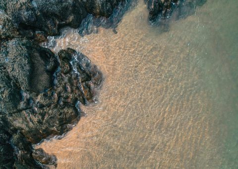 pexels-photo-29563653-29563653-scaled.jpg