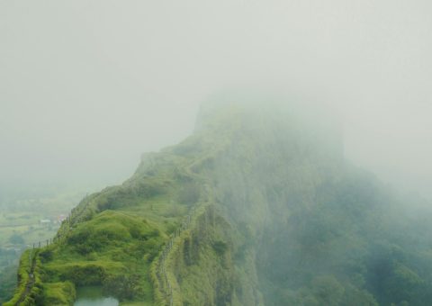 pexels-photo-31124286-31124286-scaled.jpg