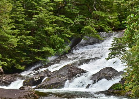 pexels-photo-32710737-32710737-scaled.jpg