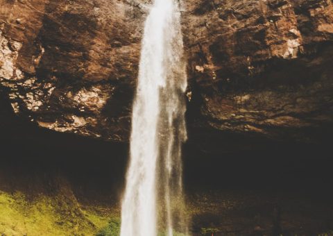 pexels-photo-4511873-4511873.jpg
